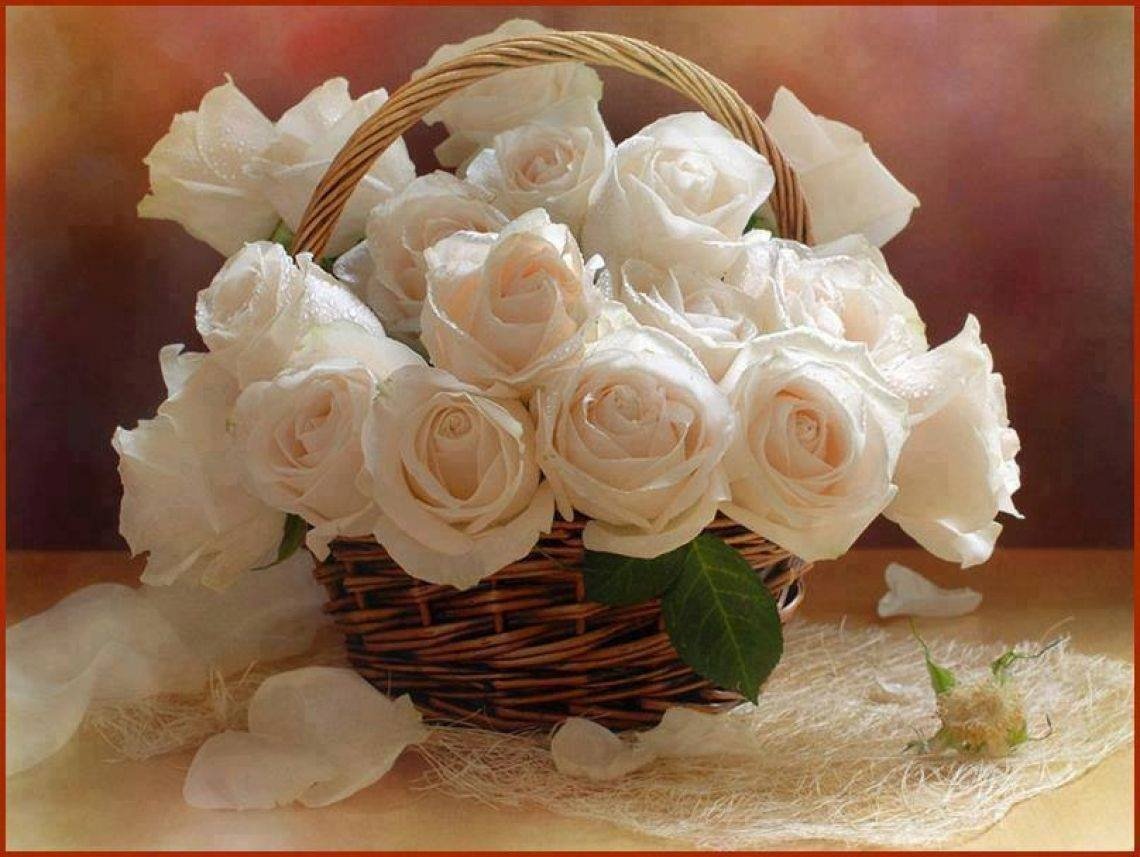 Красивый букет белых роз с днем рождения