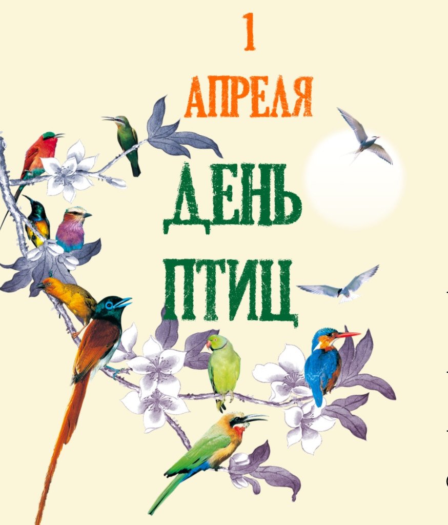 Международный день птиц открытки