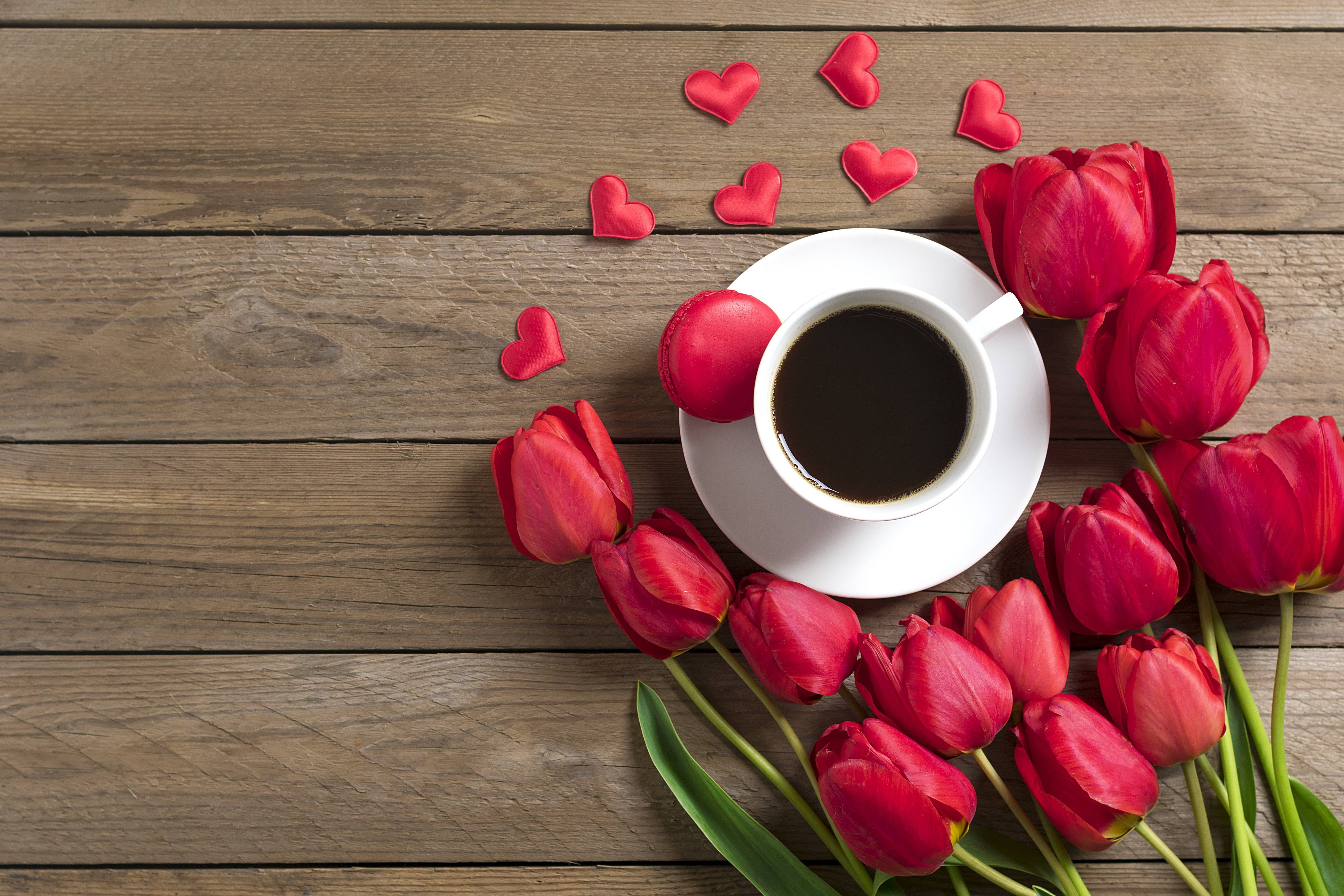 Фон доброго дня. Кофе и цветы. Утренние цветы. Чашка кофе и цветы. Цветы в чашке.