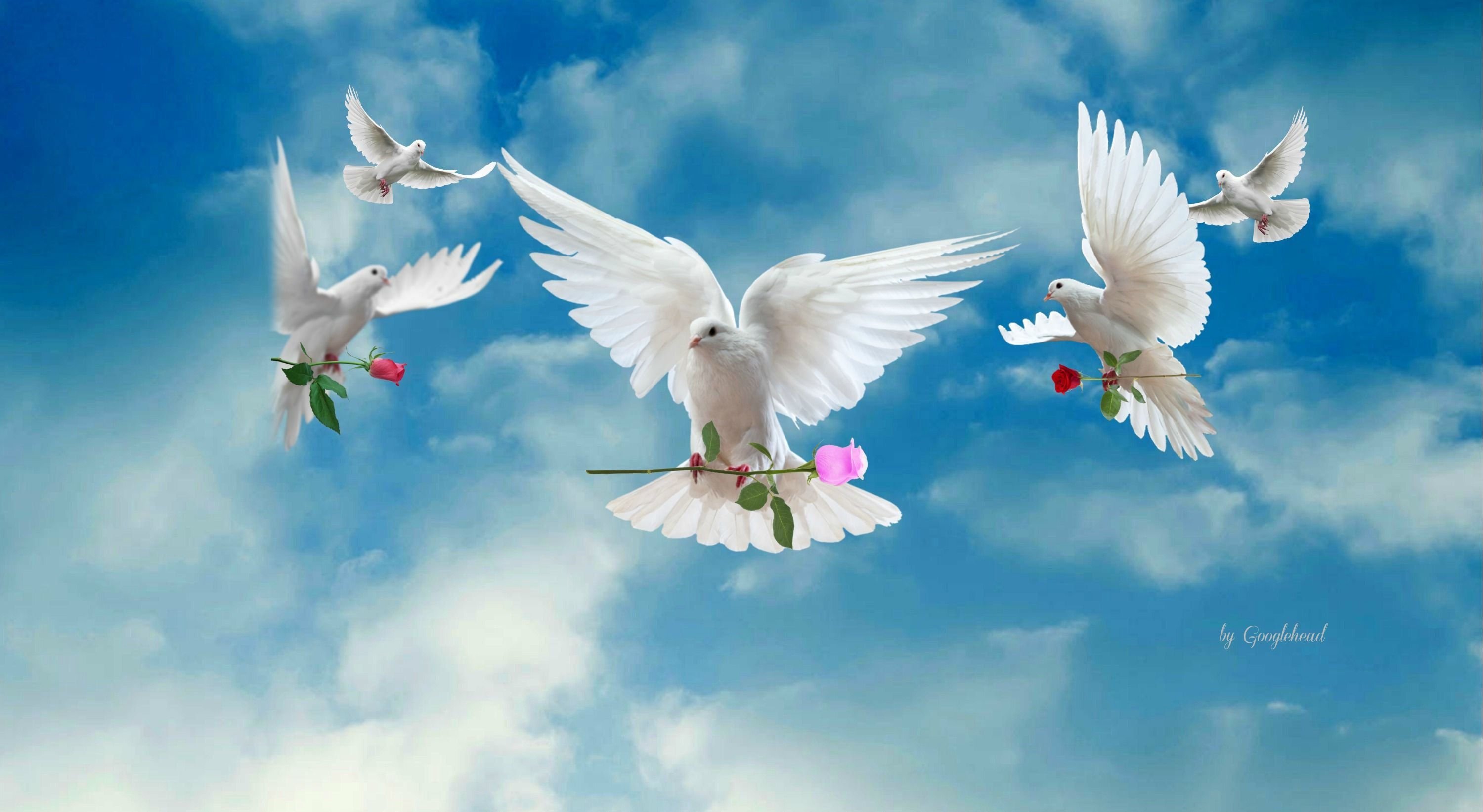 Желаю здоровья мирного неба над головой. Открытки о мире и добре.