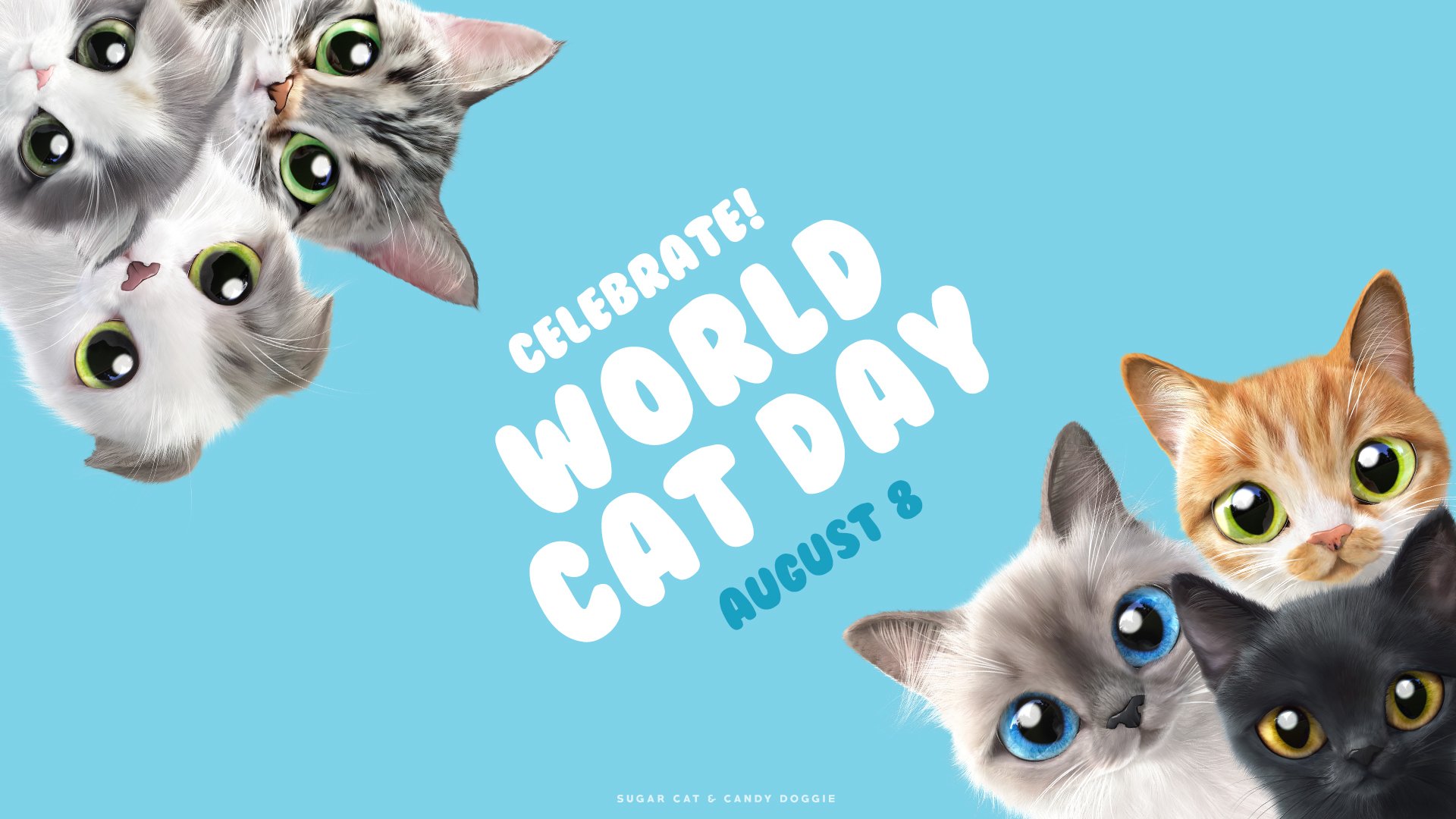 Отзыв день кошек. Всемирный день кошек. Всемирный день кошек открытки.