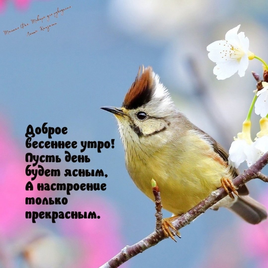 Доброе утро картинки с пожеланиями новинки весенние. Поздравления с добрым утром весны. Пожелания с добрым весенним утром. Доброго весеннего дня. Поздравление с добрым утром с птичками.