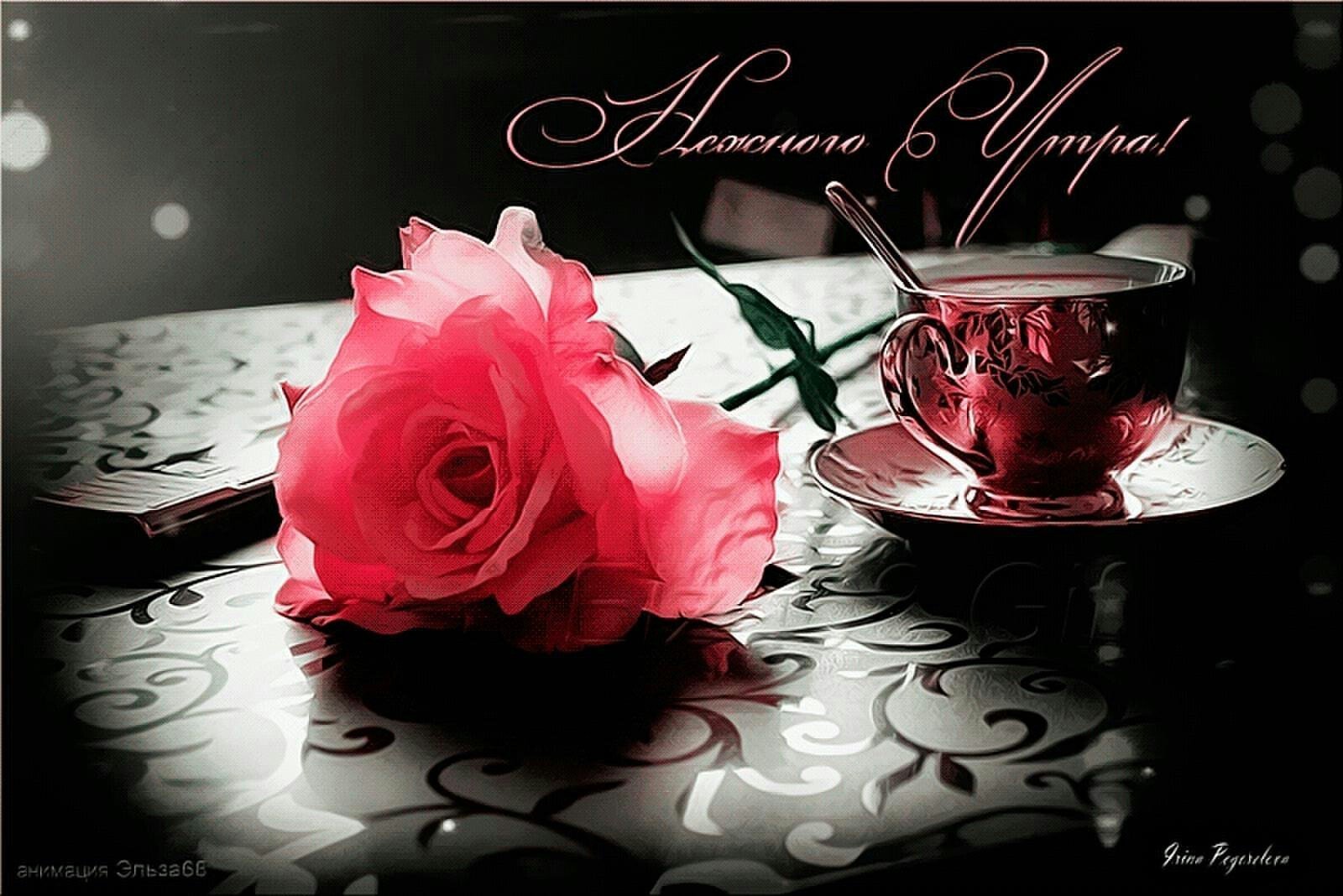 Открытка ласкового доброго утра. Добрый вечер кофе цветы. Чашка чая с розой. Вечер чай цветы.