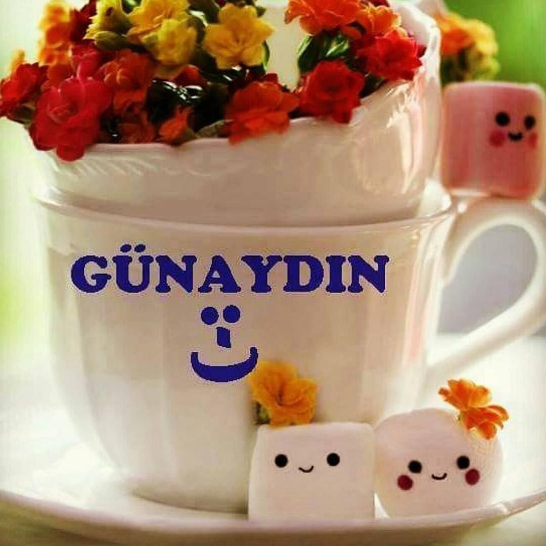 Доброе утро на языке с переводом. Открытки gunaydin. Открытки с добрым утром на турецком. Пожелания доброго дня на турецком. Пожелания с добрым утром по турецки.