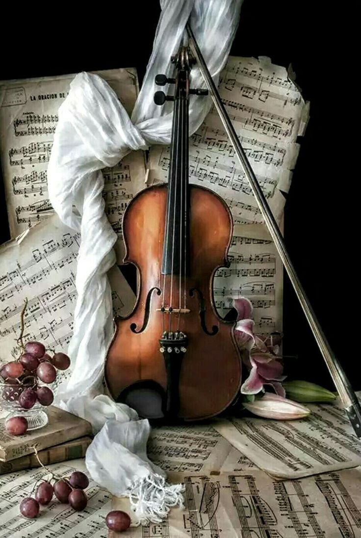 День скрипки