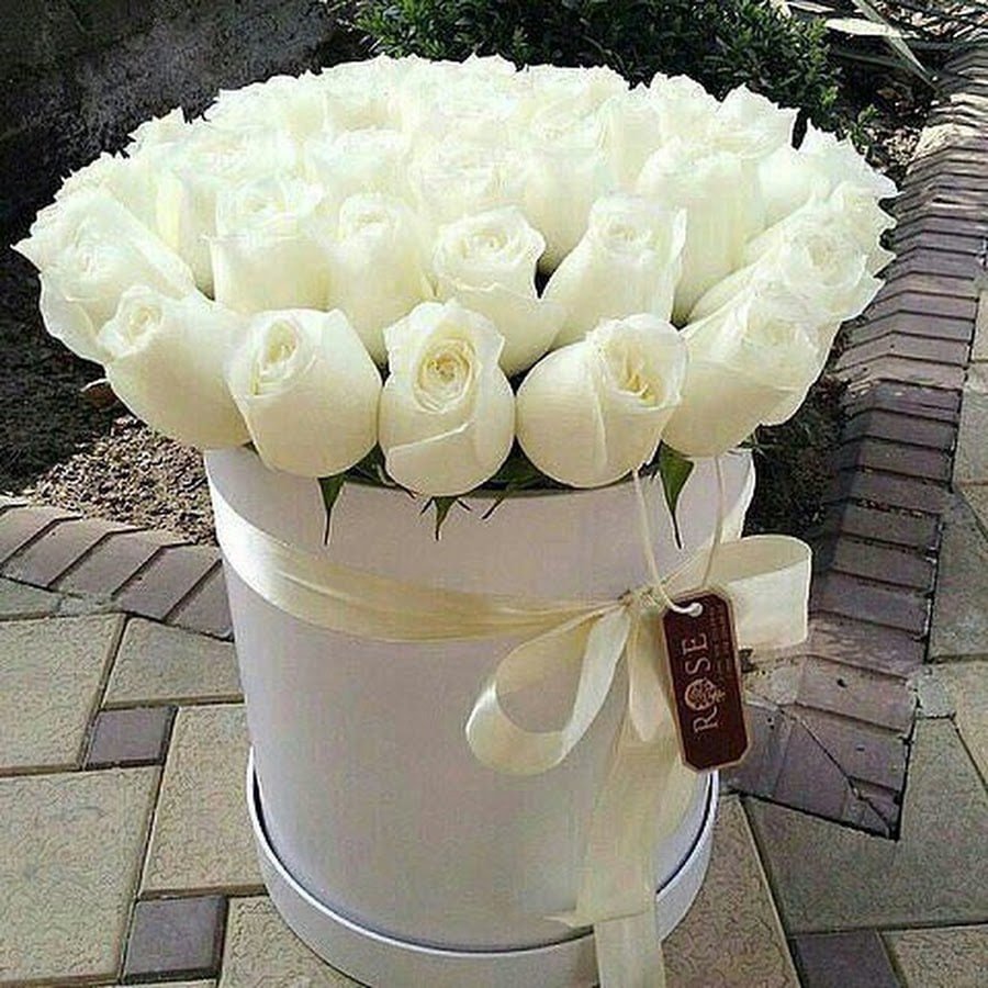 Открытки с днем рождения женщине белые розы
