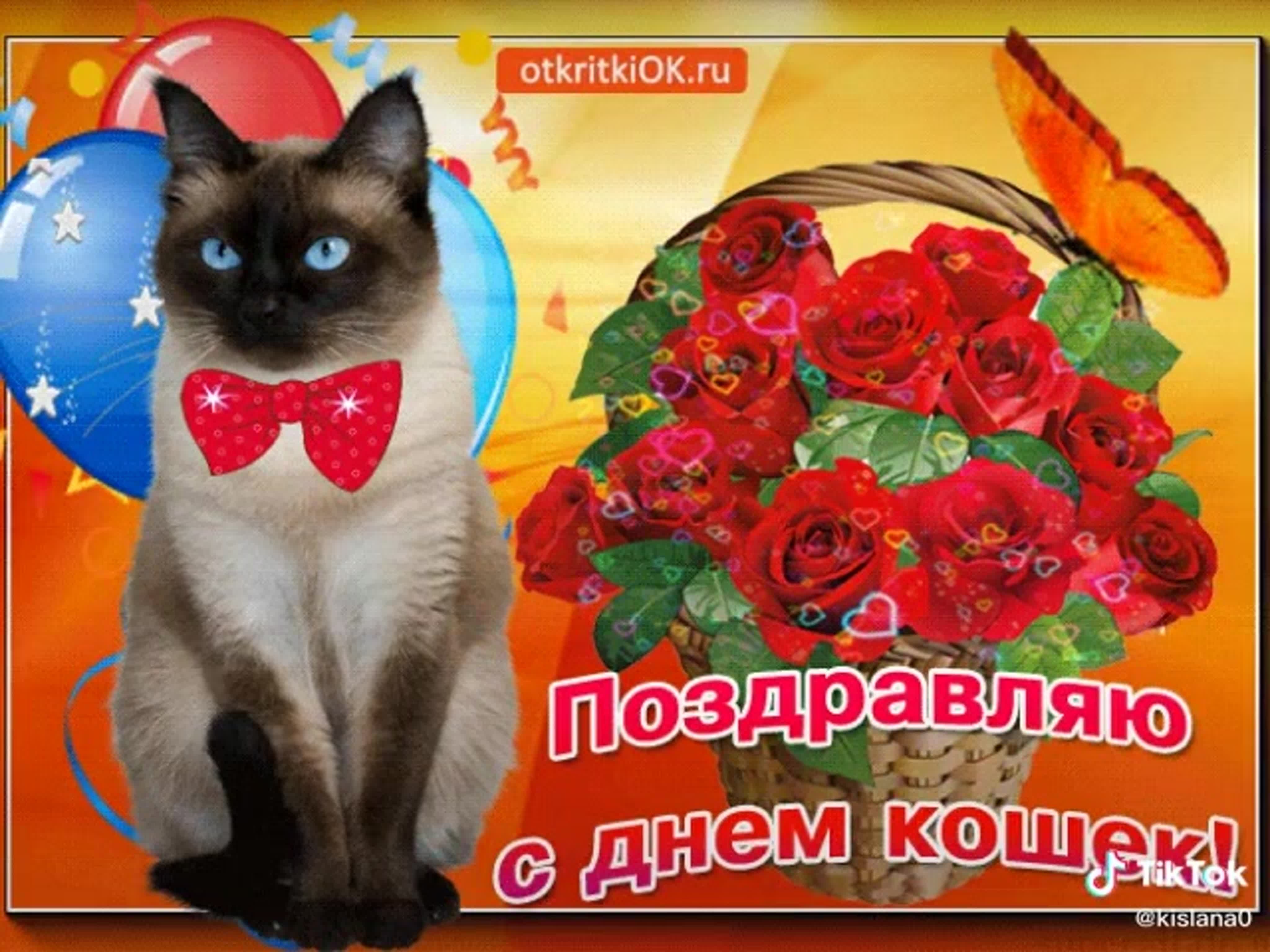 Отзыв день кошек. День кошек открытки. Поздравление с днем кошек. Всемирный день кошек открытки. Всемирный день кошек поздравления.