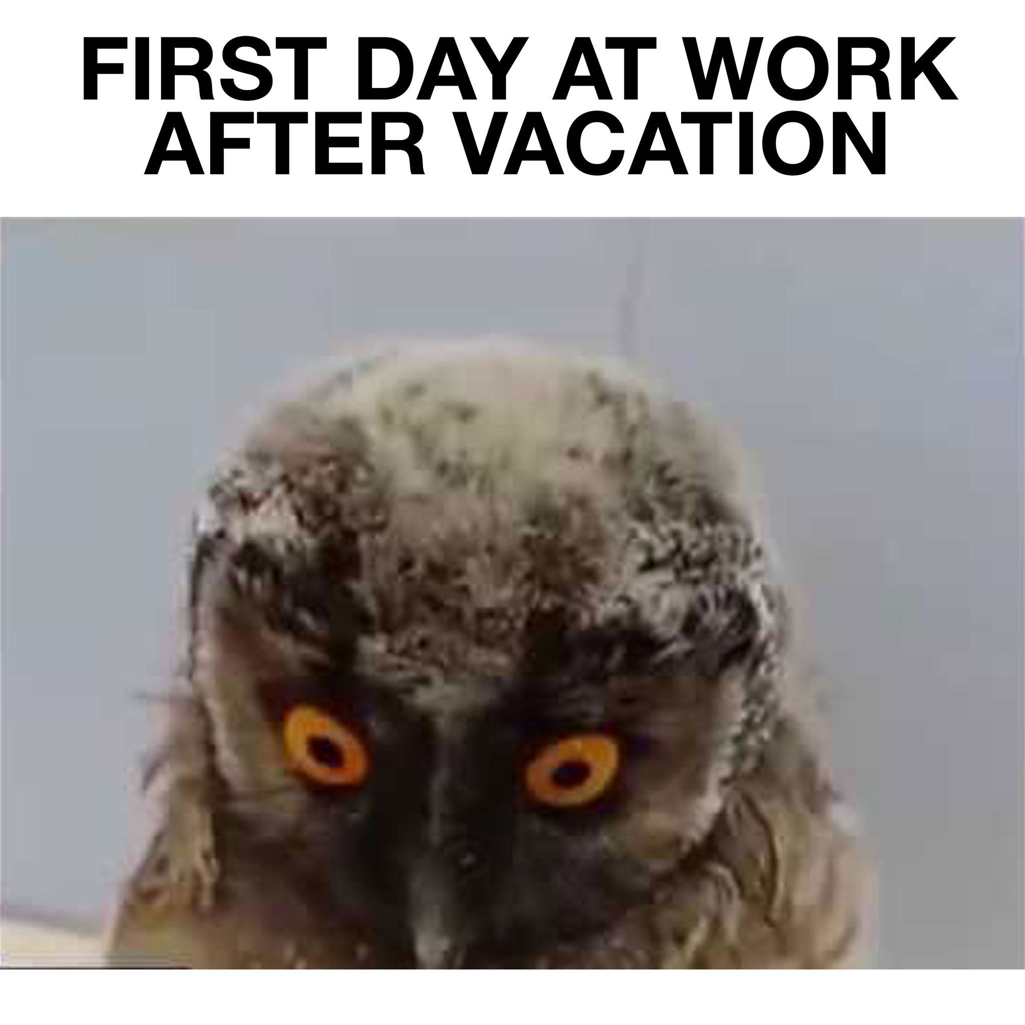 Когда выходить на работу после отпуска. Первый день после отпуска. Первый день на работе после отпуска. Первый день послеотпускп. С первым рабочим днём после отпуска.