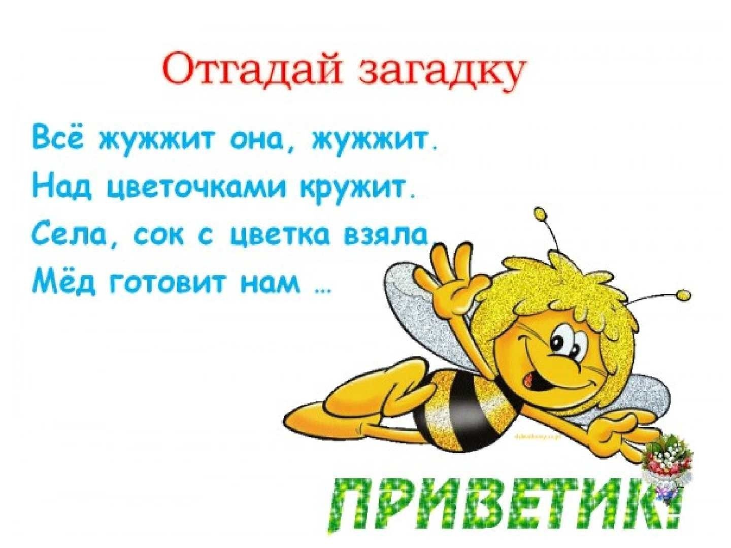 Большое жужжание. Загадка про пчелу. Загадка про пчелу для детей. Стих про пчелу. Детские загадки про пчел.