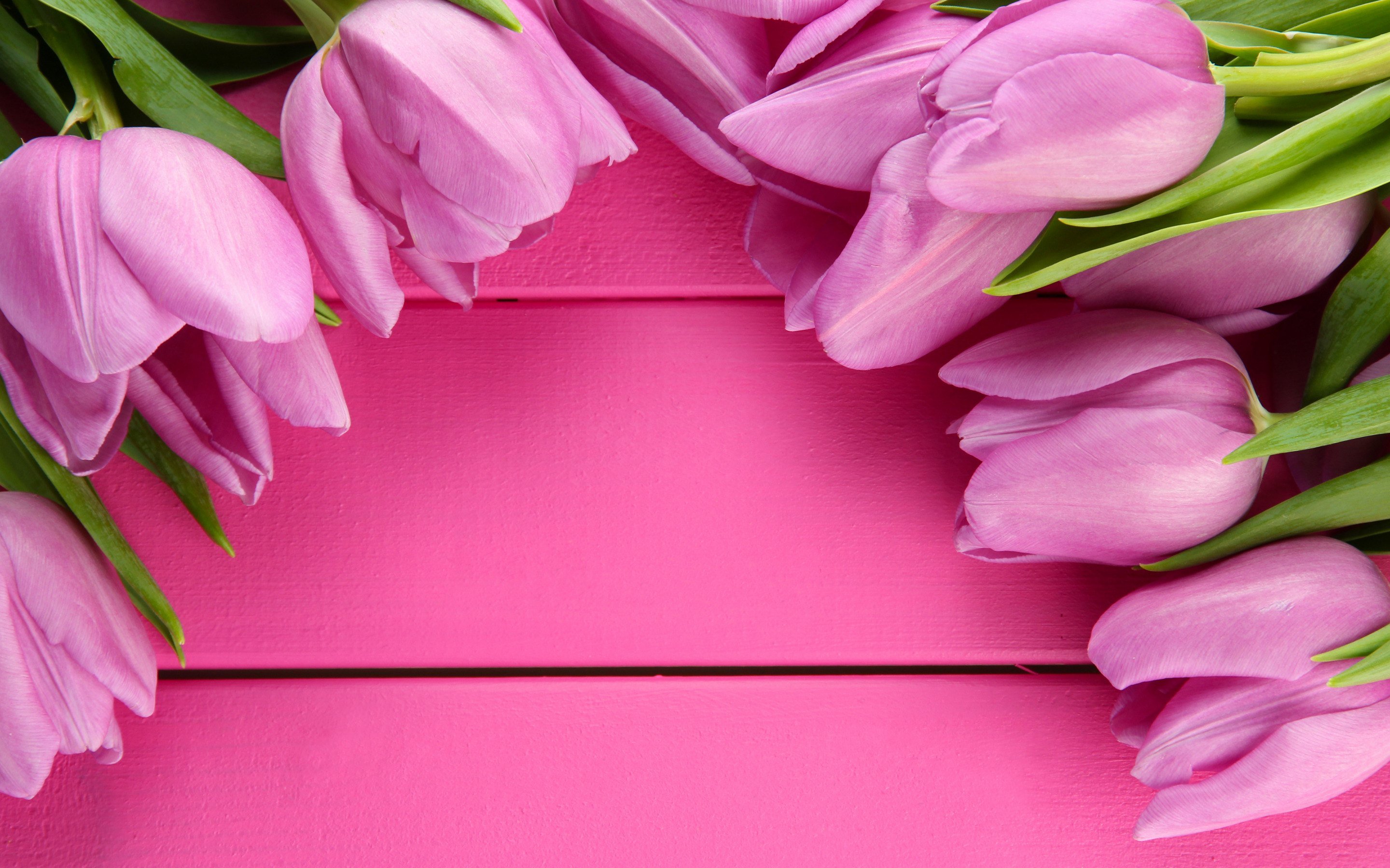 Поздравление маме с фотографиями. Тюльпаны открытка. Розовые тюльпаны. Открытка цветы. День матери.