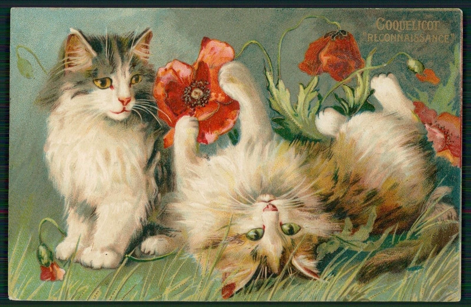 Красивые открытки с кошками. Коты Maurice Boulanger. Луис Уэйн картины. Винтажные котята. Винтажные открытки с котятами.