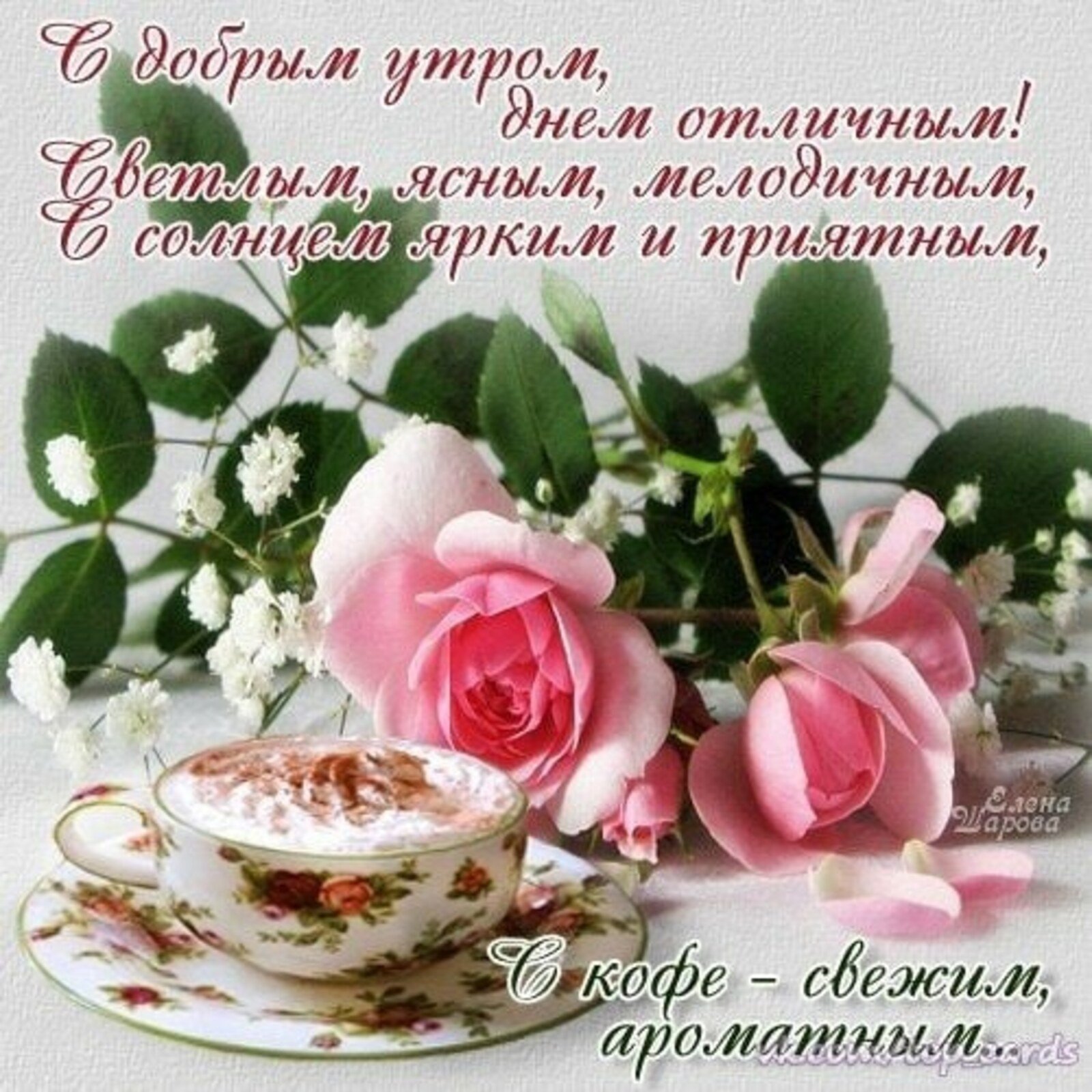 Доброе утро открытки с пожеланиями. Утренние цветы с пожеланиями. Открытки с добрым утром и добрыми пожеланиями. С добрым утром цветы пожелания. Пожелания доброго утра и доброго дня.