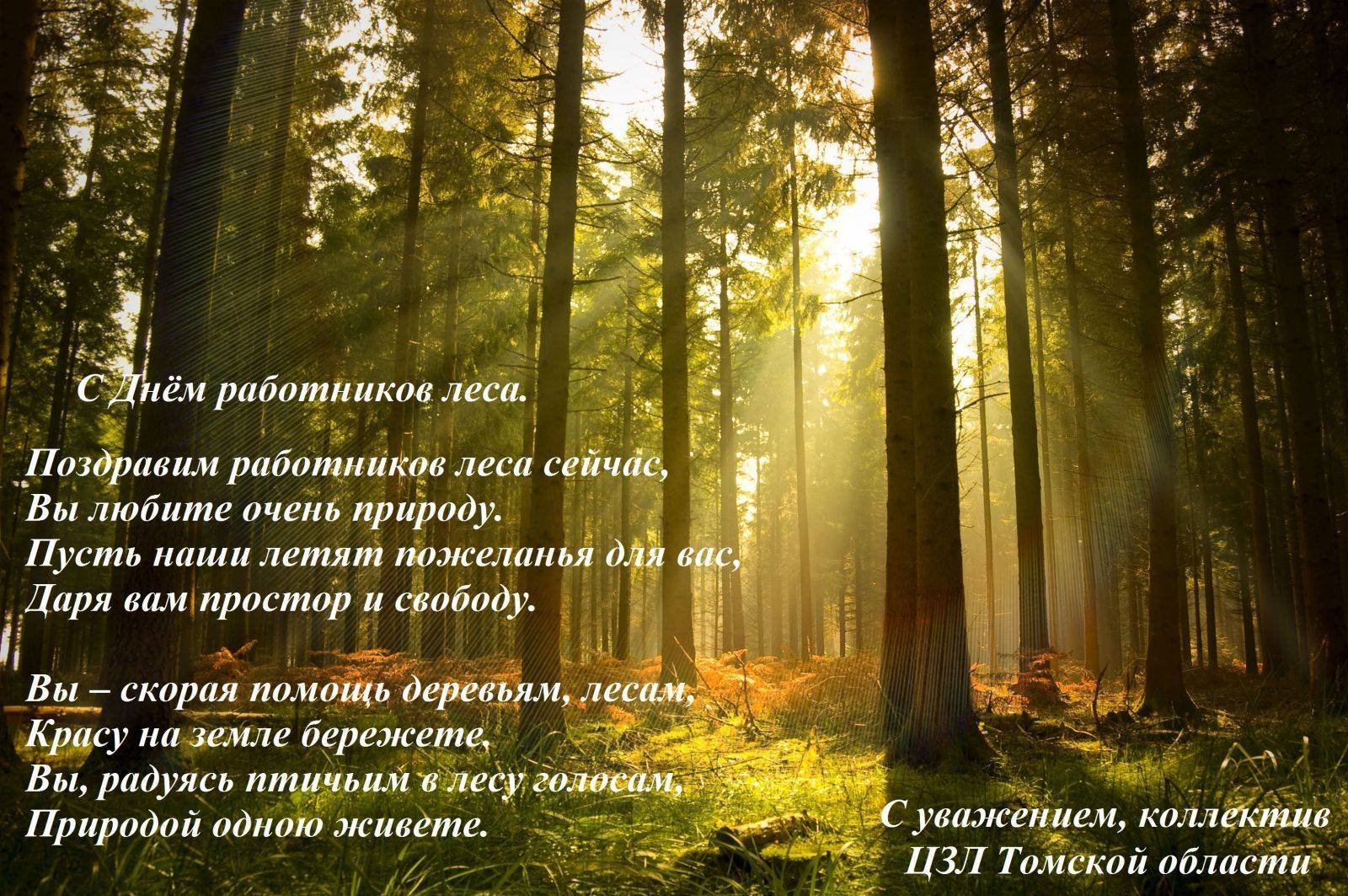 Поэзия о лесе. Поздравление с днем работника леса. Поздравление с днем леса в стихах. Цитаты про лес и природу. С днем леса картинки.