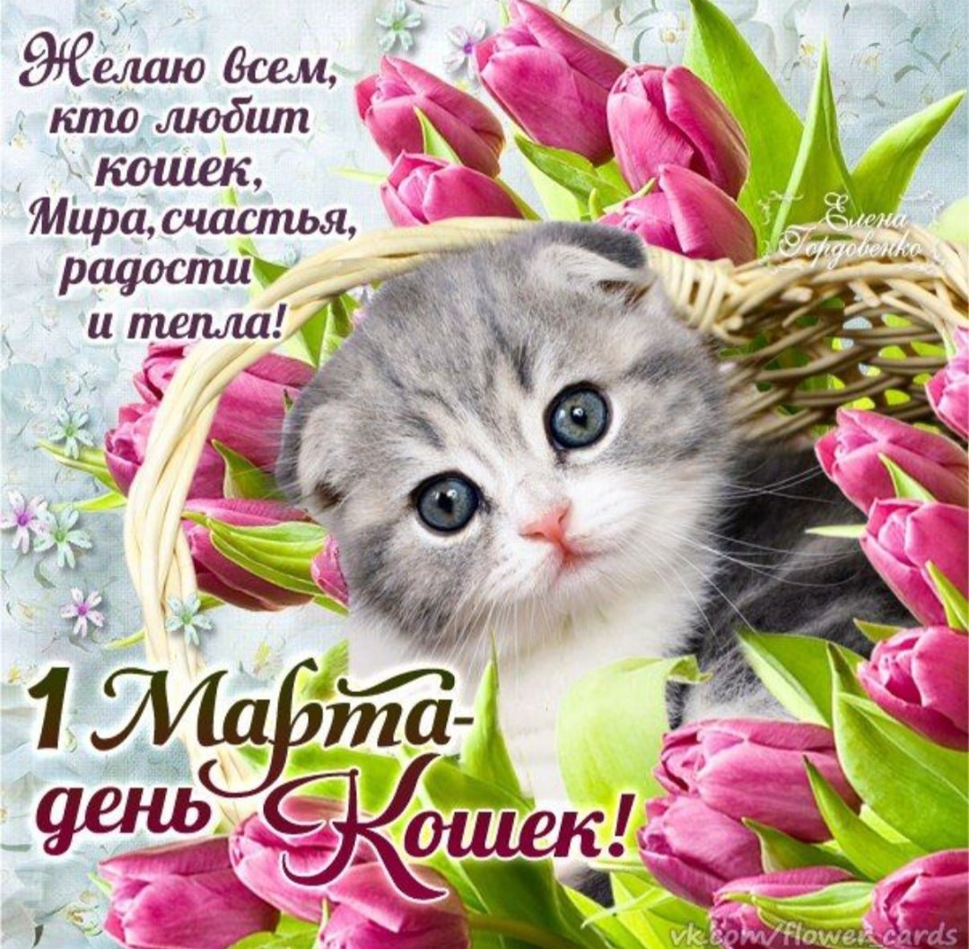Бесплатные поздравления с днем кошек. С первым днем весны и кошек. День весны и день кошек. С первым днем весны и днем кошек.