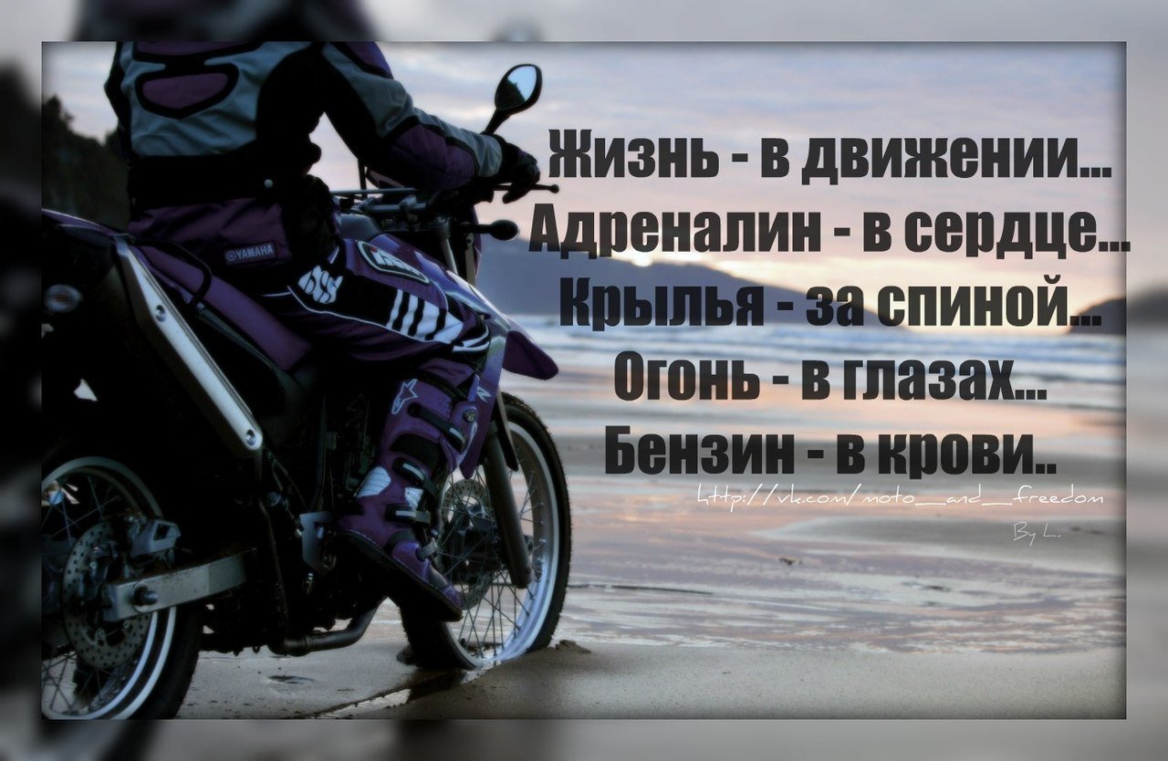 Адреналин скорости. День мотоциклиста поздравление. Поздравление байкеру. Стих про мотоцикл. Поздравления с днём рождения байкеру.
