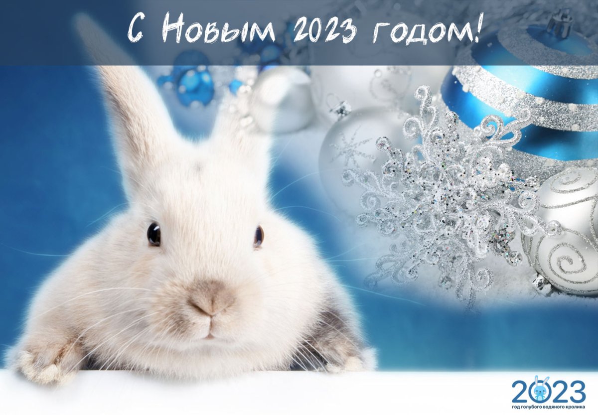 Открытки с новым годом кролика