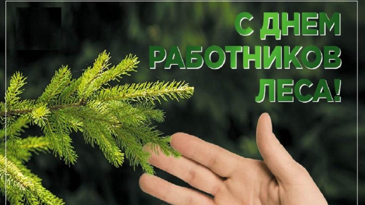 День работников леса и лесоперерабатывающей промышленности