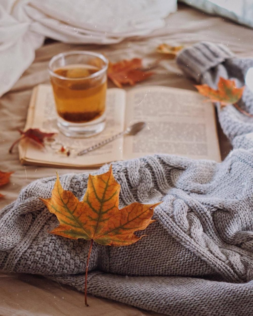 Осенняя теплая осень. Осенний плед. Уютная осень. Осеннее чаепитие. Осенний уют.