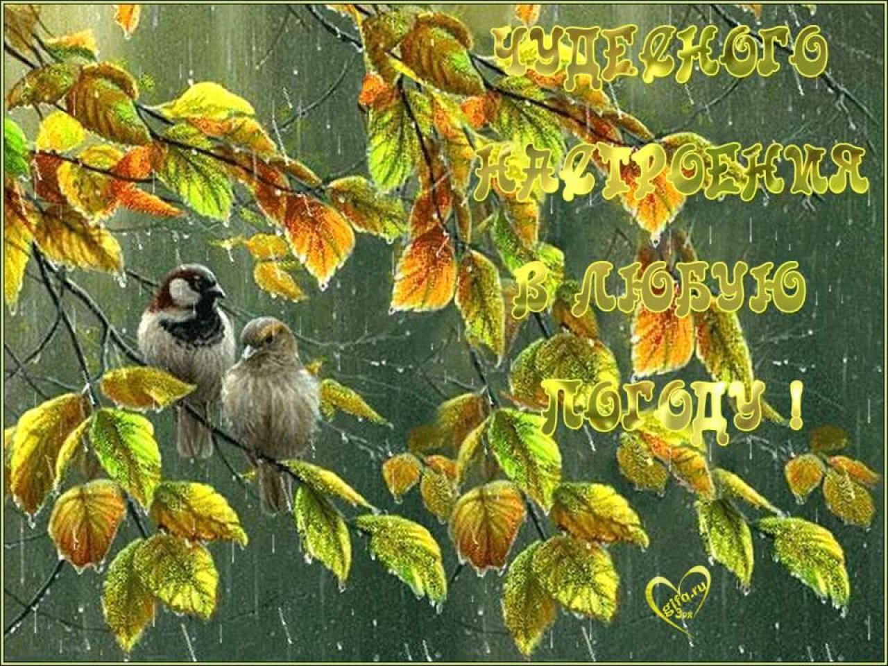 Хорошего здоровья в любую погоду. Хорошего настроения в дождливую осень. Хорошего утра в любую погоду. Чудесного настроения в любую погоду. Открытки с добрым утром осенние дождливые.