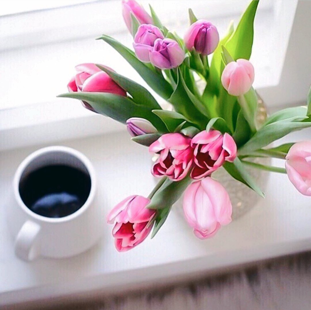Доброе весеннее утро с тюльпанами картинки. Утренние тюльпаны. Утренний букет тюльпанов. Утро букет тюльпанов. Доброе утро тюльпаны.
