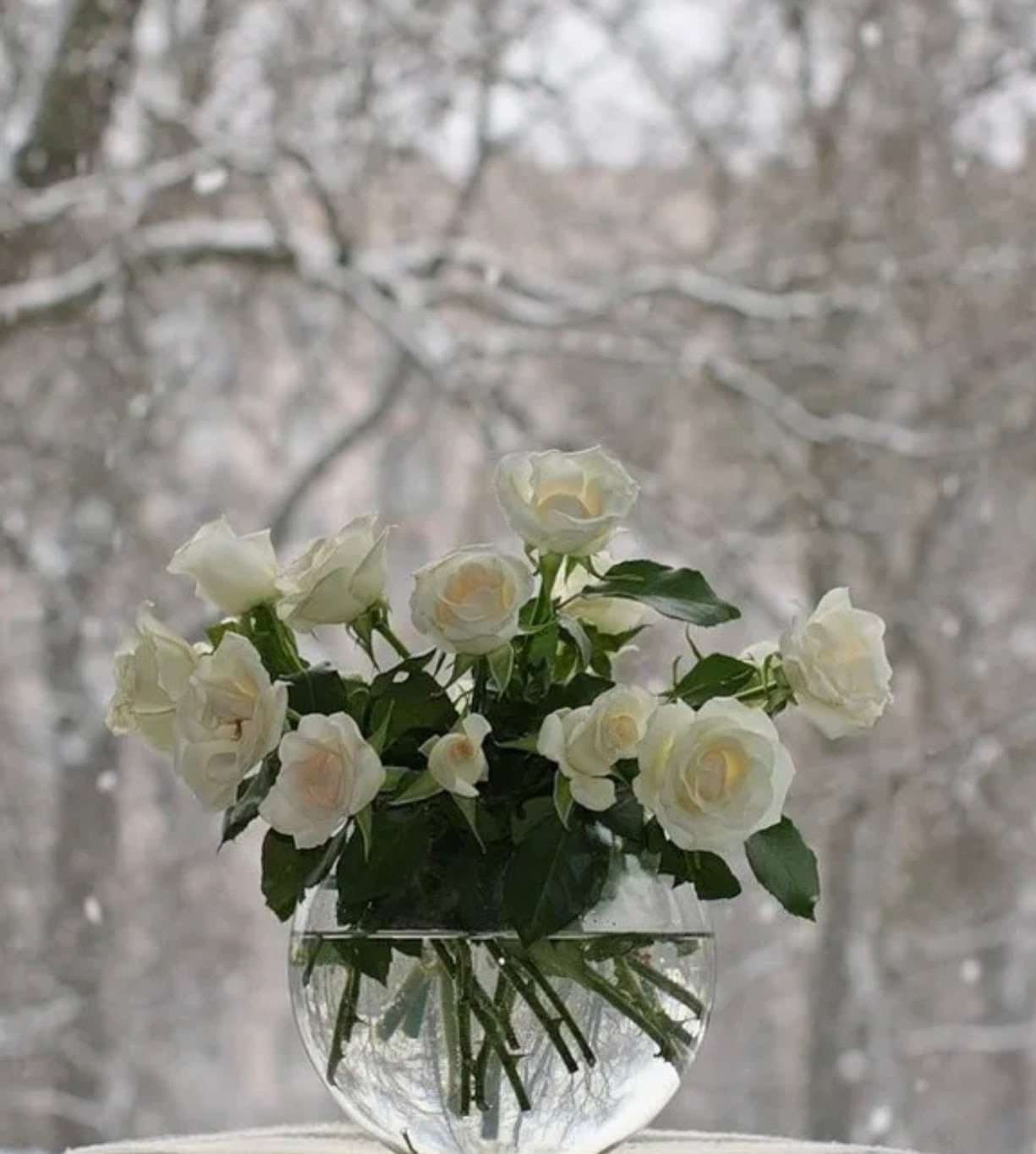 Красивая открытка со снегом. Букет на окне зима. Букет на зимнем окне. Букет цветов на окне зимой. Розы на окне зимой.