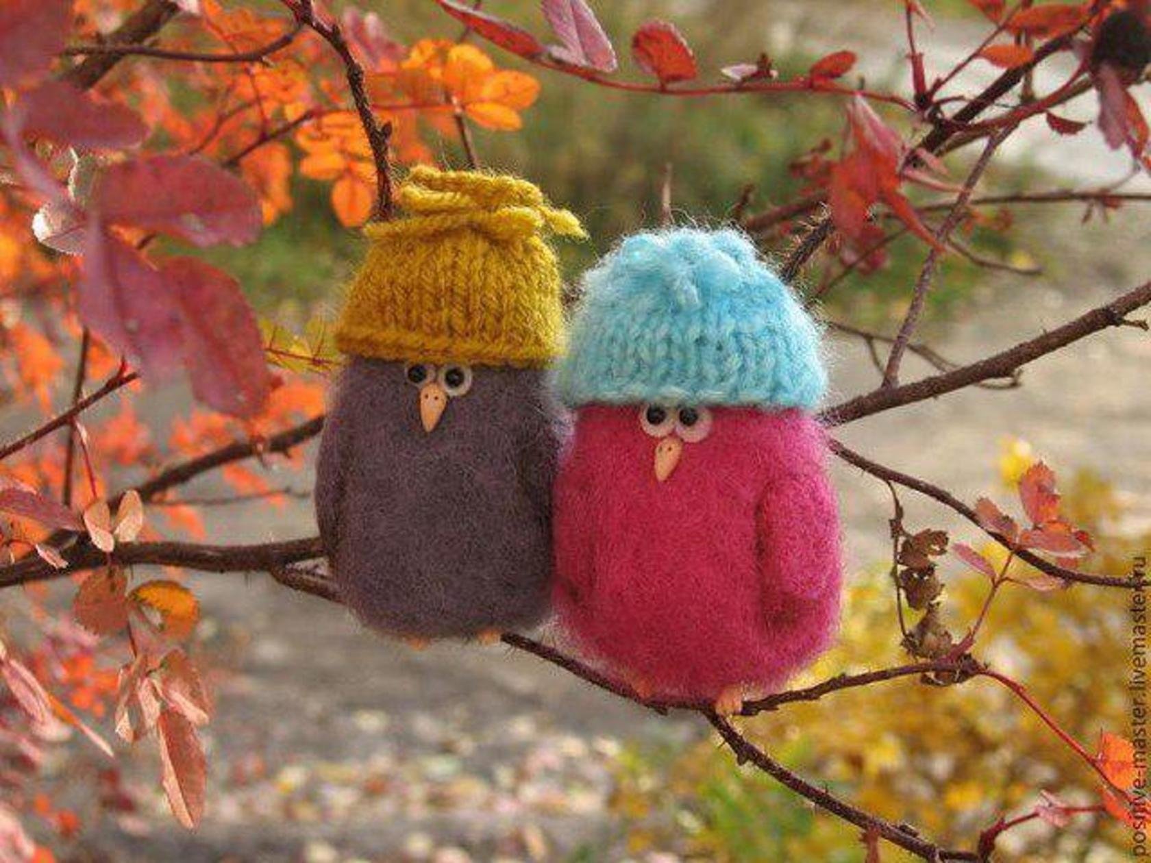 Одевайся теплее и будет тепло. Пора утепляться на осень. Доброе Холодное утро. Птичка в шапке. Осень Холодное утро.