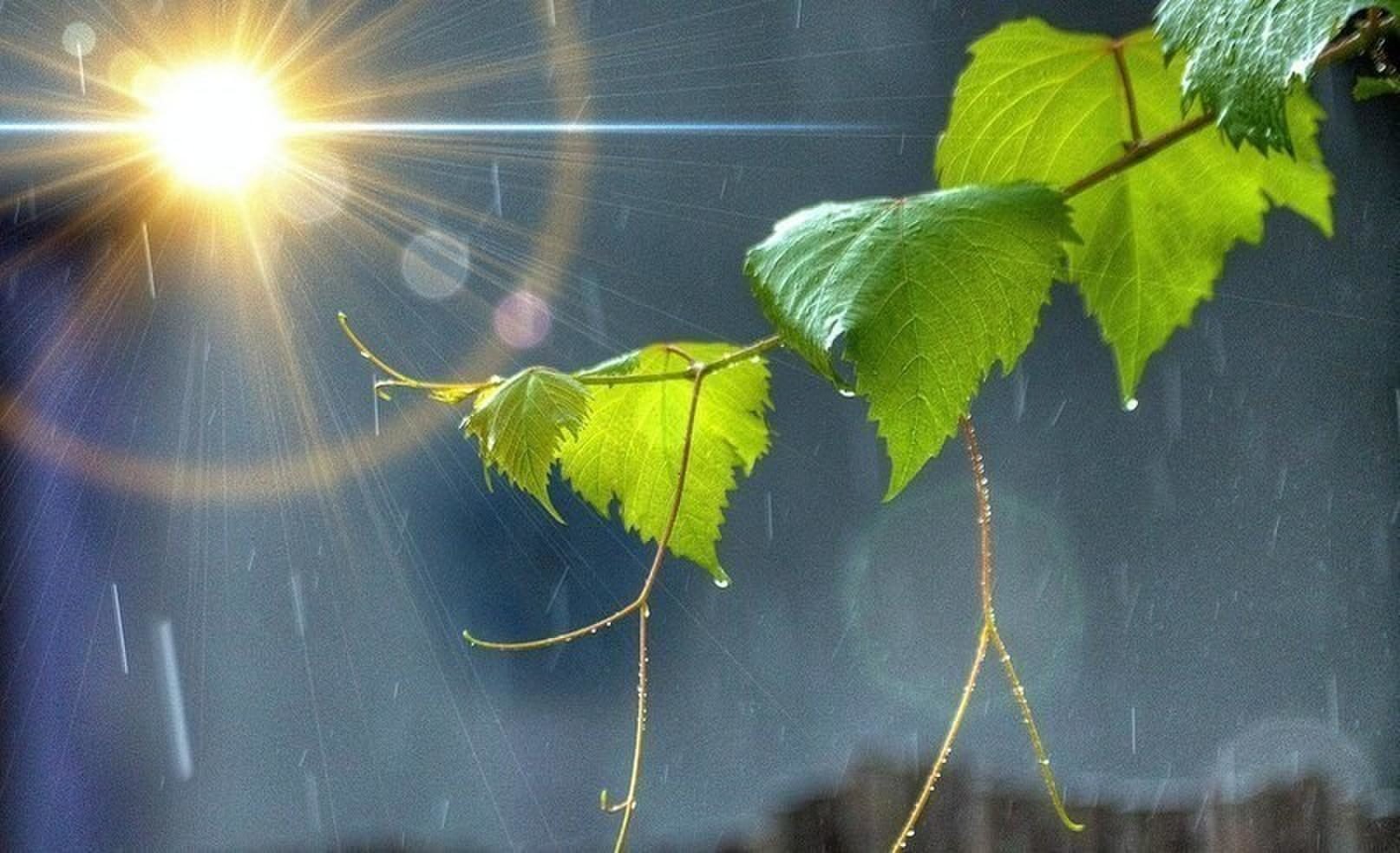 Ра новый день. Солнце после дождя. Дождь и солнце. Солнце в душе. Дождь в Солнечный день.