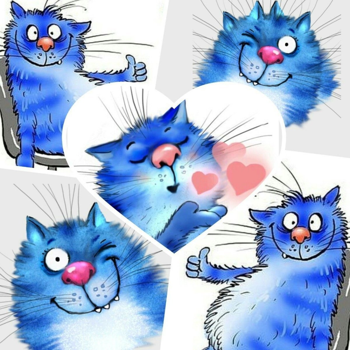 Голубые котики с пожеланиями