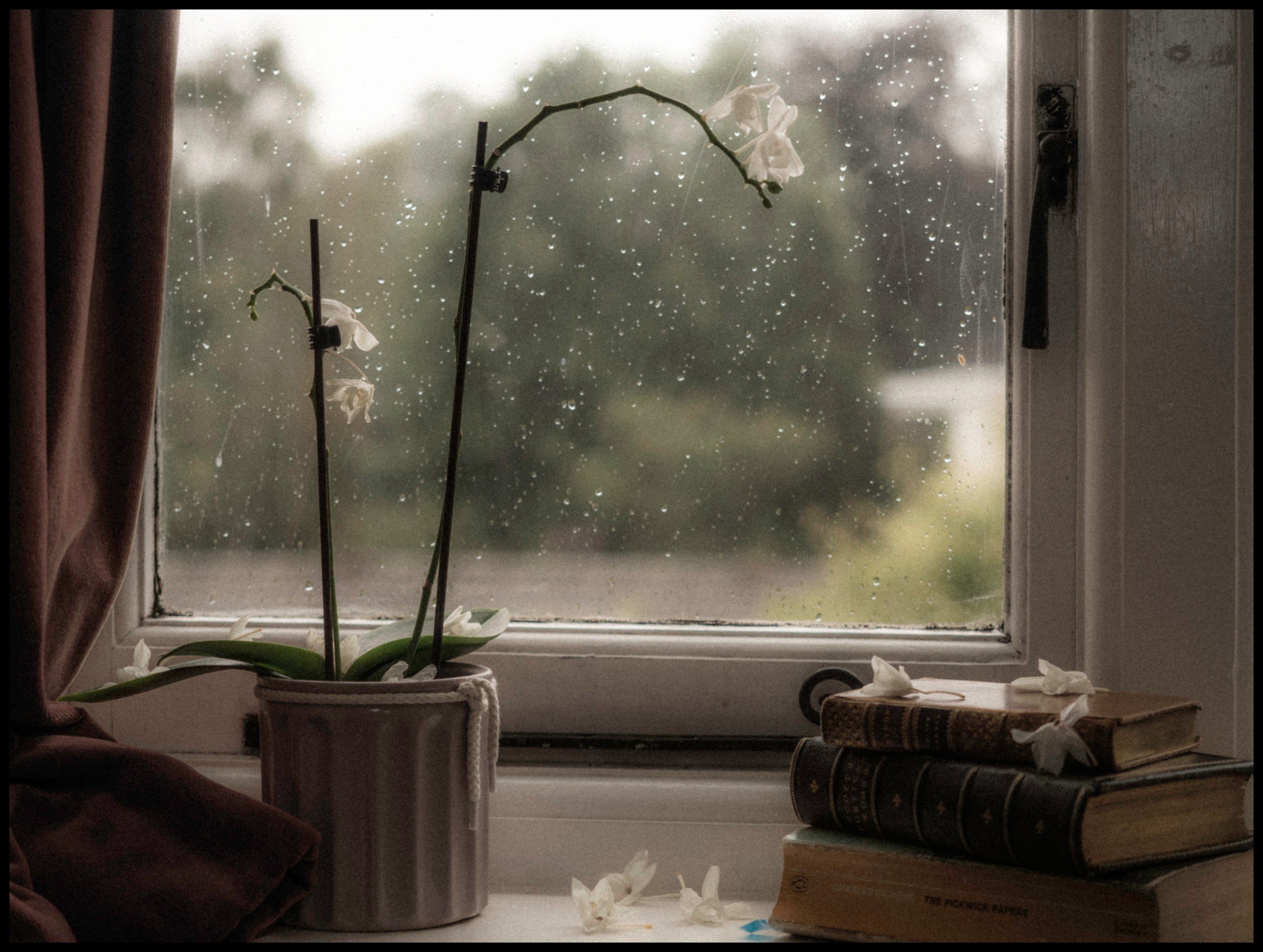 Ilgiz за окном дождь. Дождь за окном. Вечер за окном. Дождь в окне. Непогода за окном.