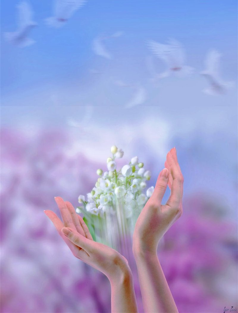 Благословляя сердца. Весенние цветы в руках. Цветы в ладонях. Нежные цветы в руках.