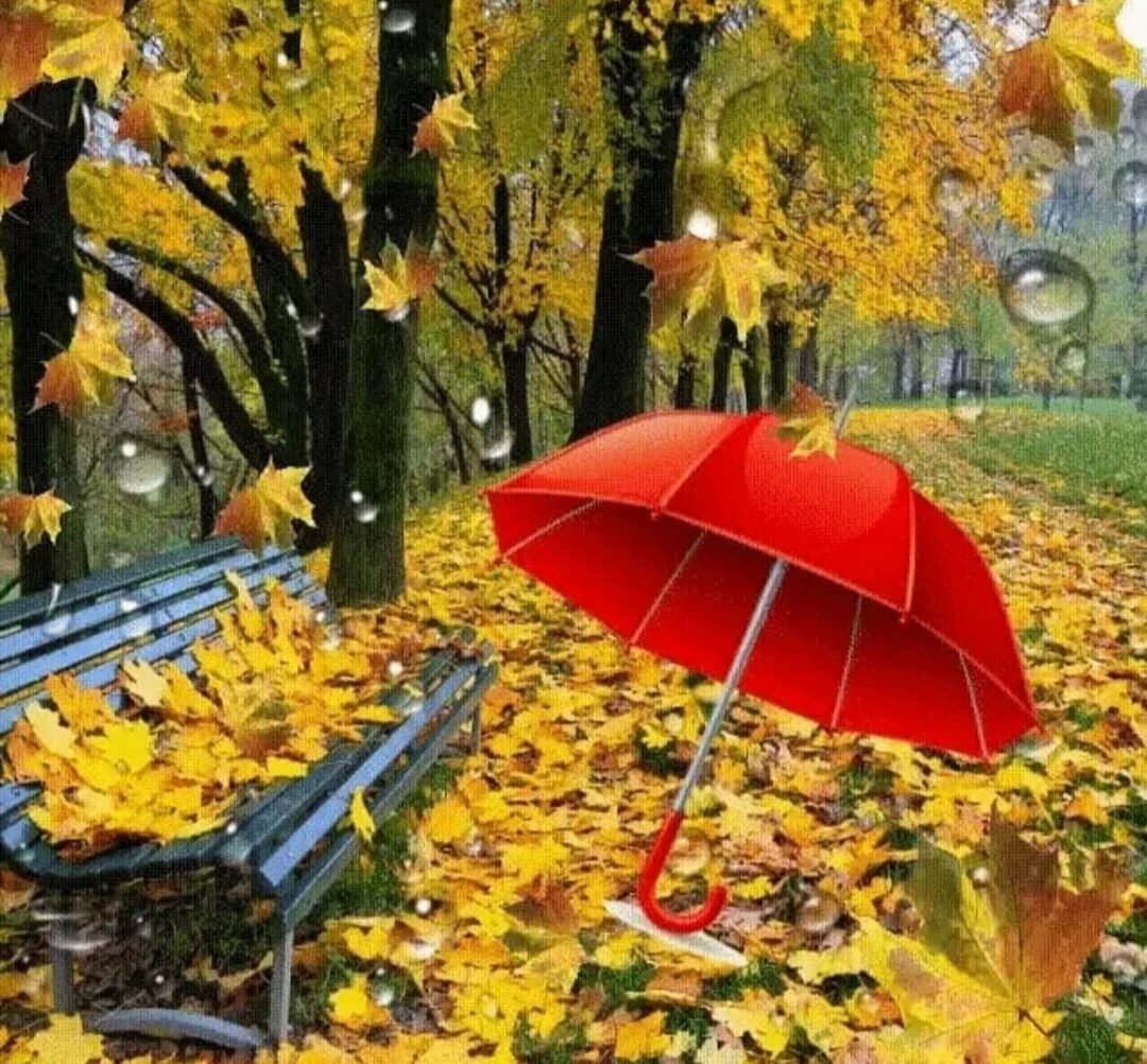 Красивые открытки с осенним дождем