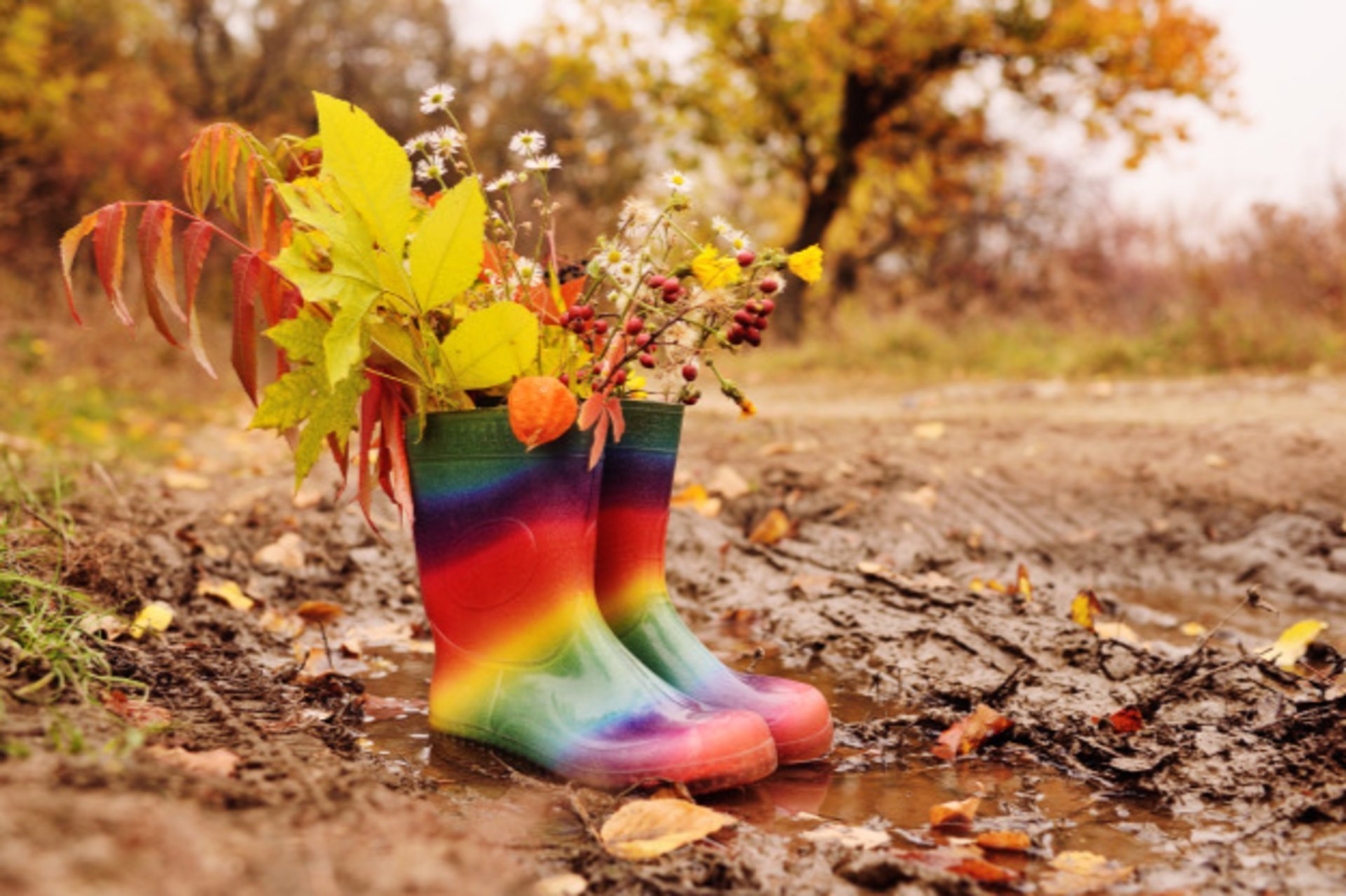 Вот и пришла разноцветная осень. Резиновые сапоги в луже. Осень лужи сапоги. Резиновые сапоги на ногах. Резиновые осенние ботинки.