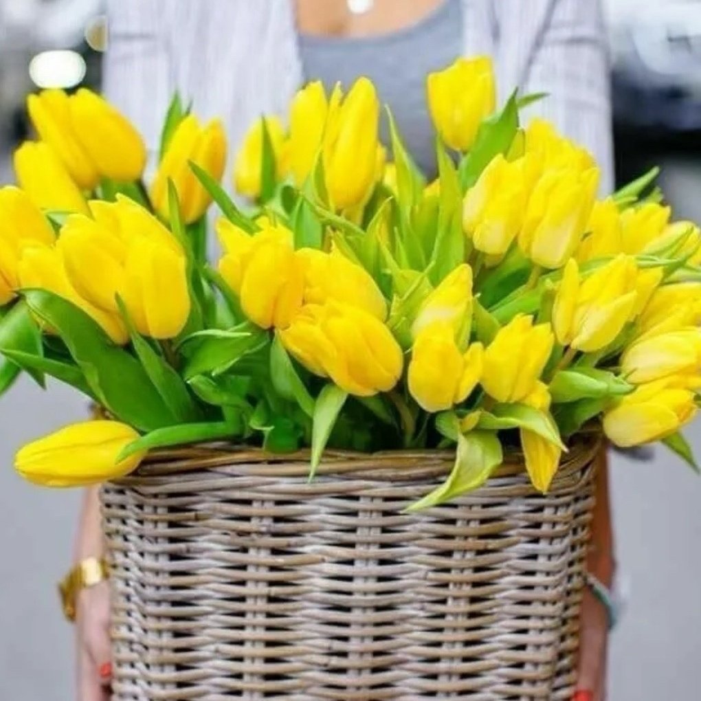 Открытки с желтыми тюльпанами