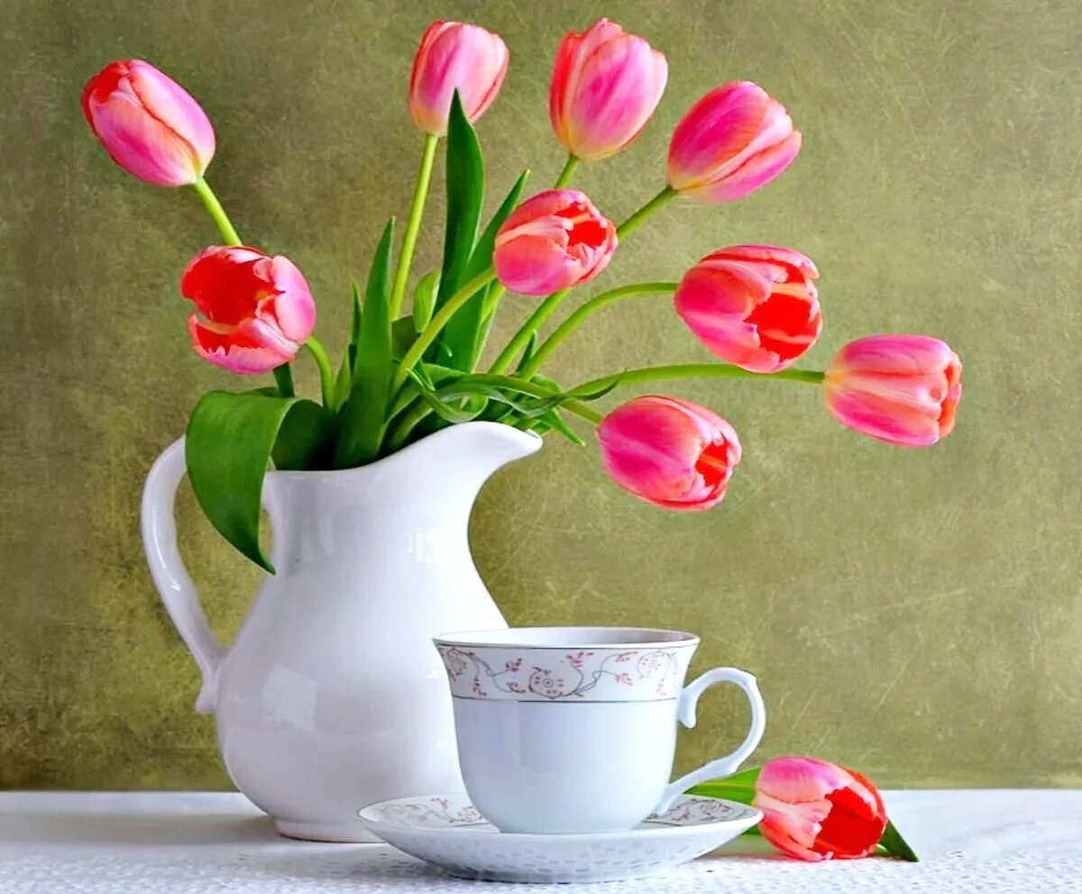 Открытки тюльпаны с добрым утром с пожеланиями. Натюрморт. Натюрморт тюльпаны в вазе. Доброго дня тюльпаны. Натюрморт с тюльпанами.