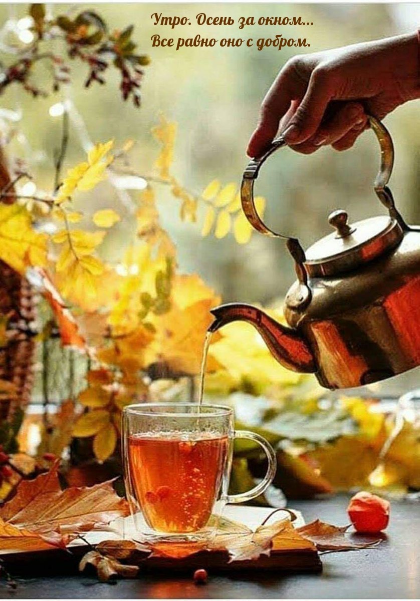 От воды веяло свежестью. Осенний чай. Осеннее чаепитие. Осень чай. Доброе утро осень.