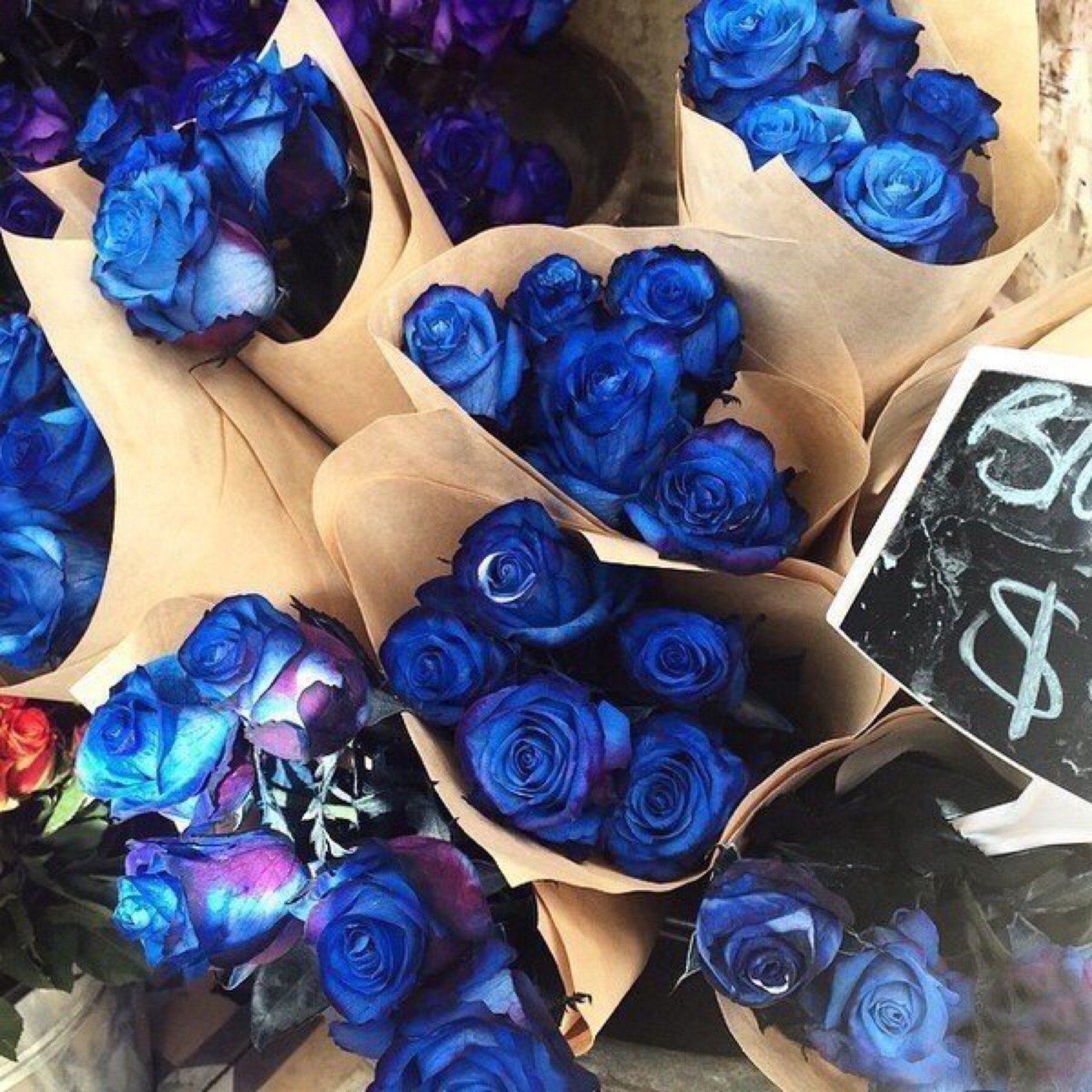 Понравилось 22. Темно синие цветы. Эстетика синего цвета. Эстетика в синих тонах.