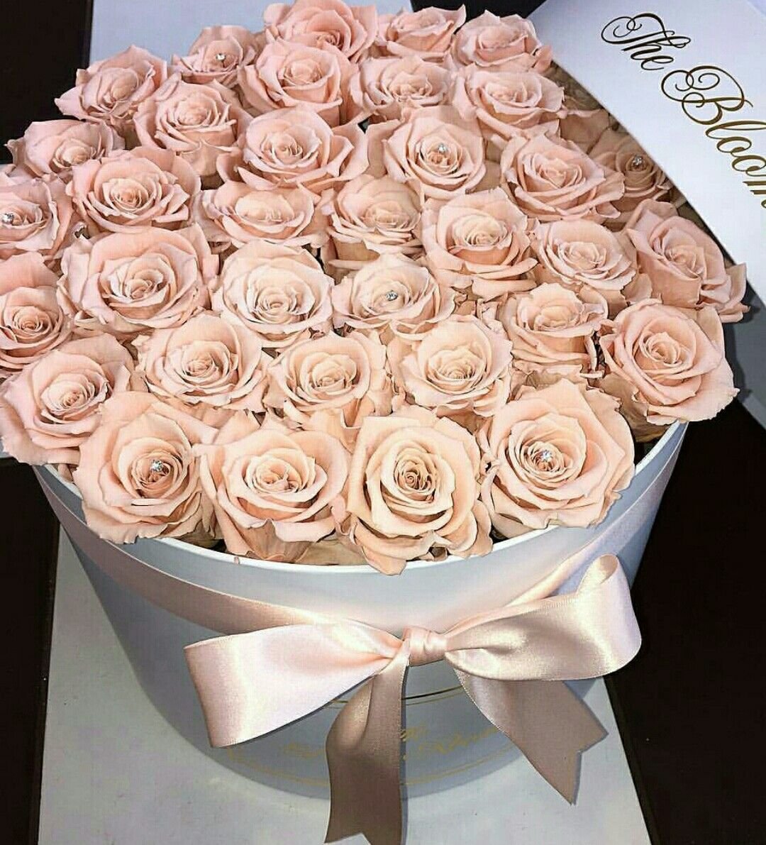 Luxury rose. Красивый букет розовых роз в коробке. Розовые розы в коробке. Самые красивые розы в коробке. Гламурный букет.