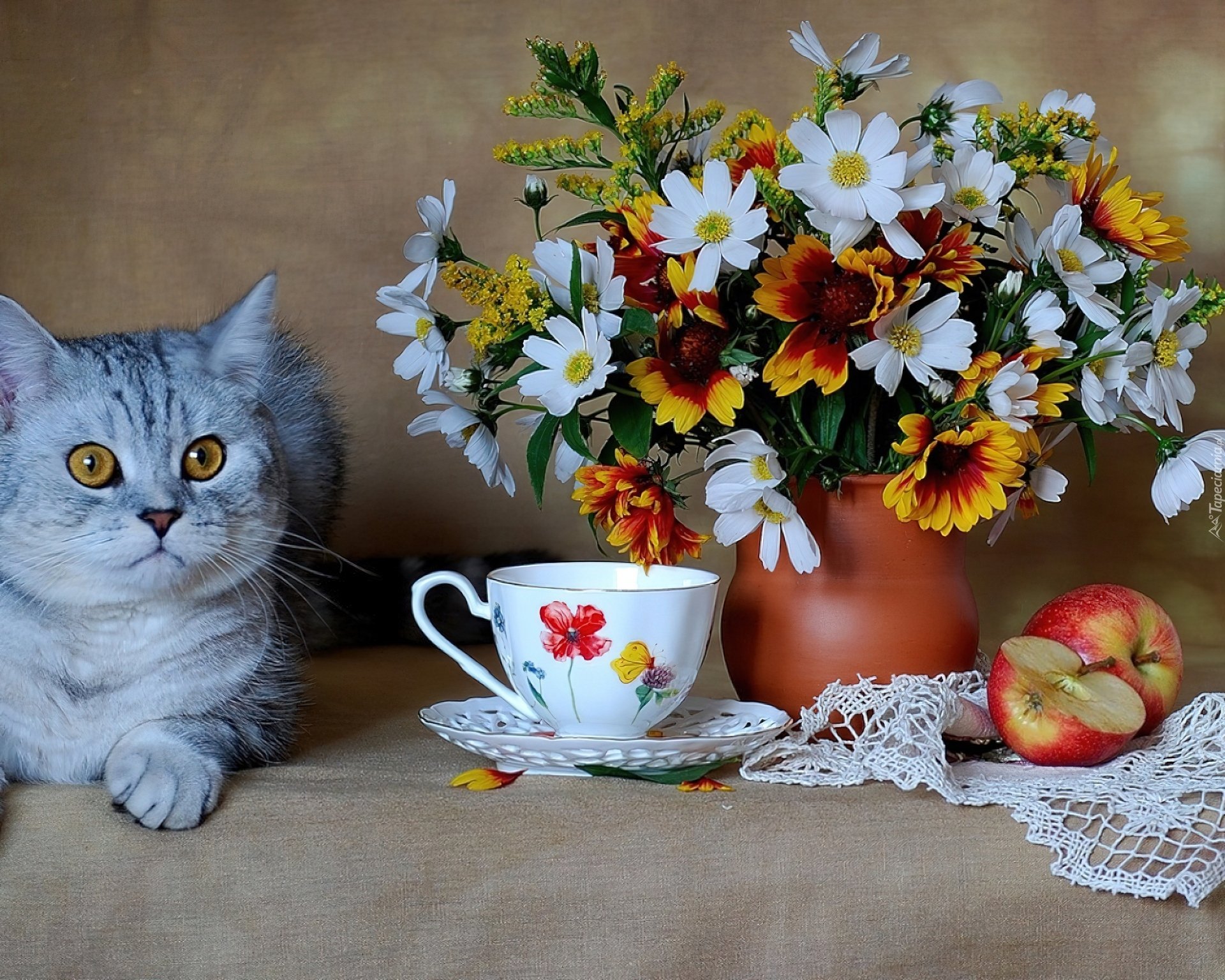 Добро утро хорошего дня с котиками. Доброе утро котики. Открытки с добрым утром с котятами. Котик с цветами. С добрым весенним утром с котиками.
