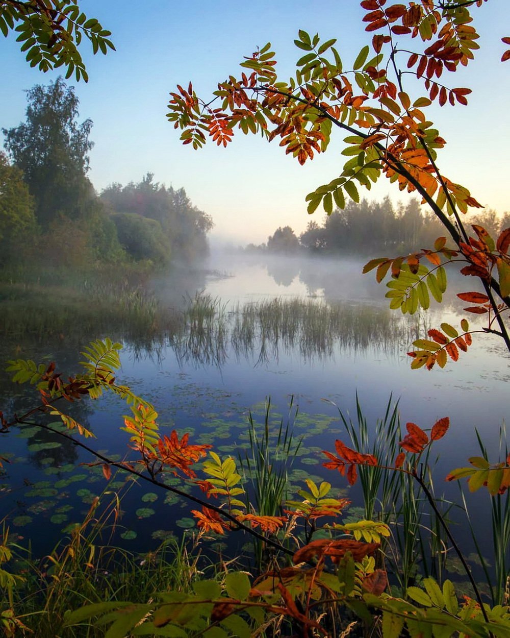 Открытки пейзажи утро. Доброе утро осень природа. Осеннее утро пейзаж. Сентябрьский пейзаж. Прекрасного утра осени.