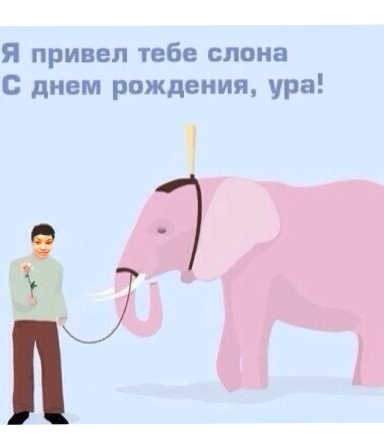 Рождение слоника. С днем рождения Слоник. Поздравление со слоном. Поздравление с днем слона. Поздравление с днем рождения со слоном.