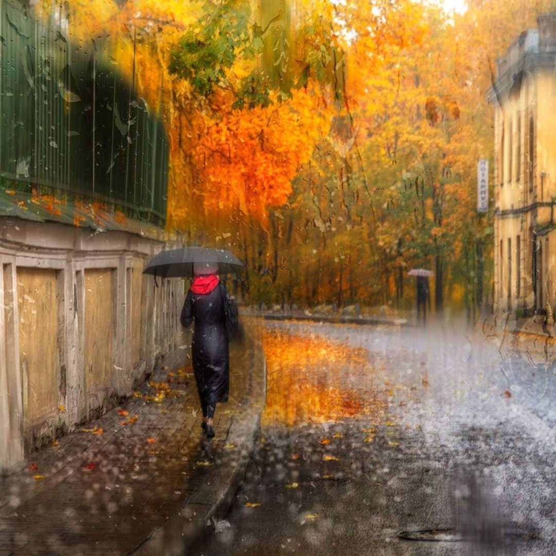 Песня осенью дождливый серый день. Осенний дождь. Дождливая осень. Дождливый осенний день. Дождь осенью.