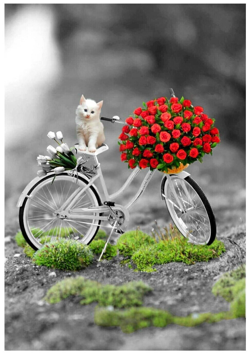 Открытки хорошего оригинального дня. Яркого дня и хорошего настроения. Велосипед с цветами. Хорошего дня и настроения. Открытки с позитивом хорошего настроения.