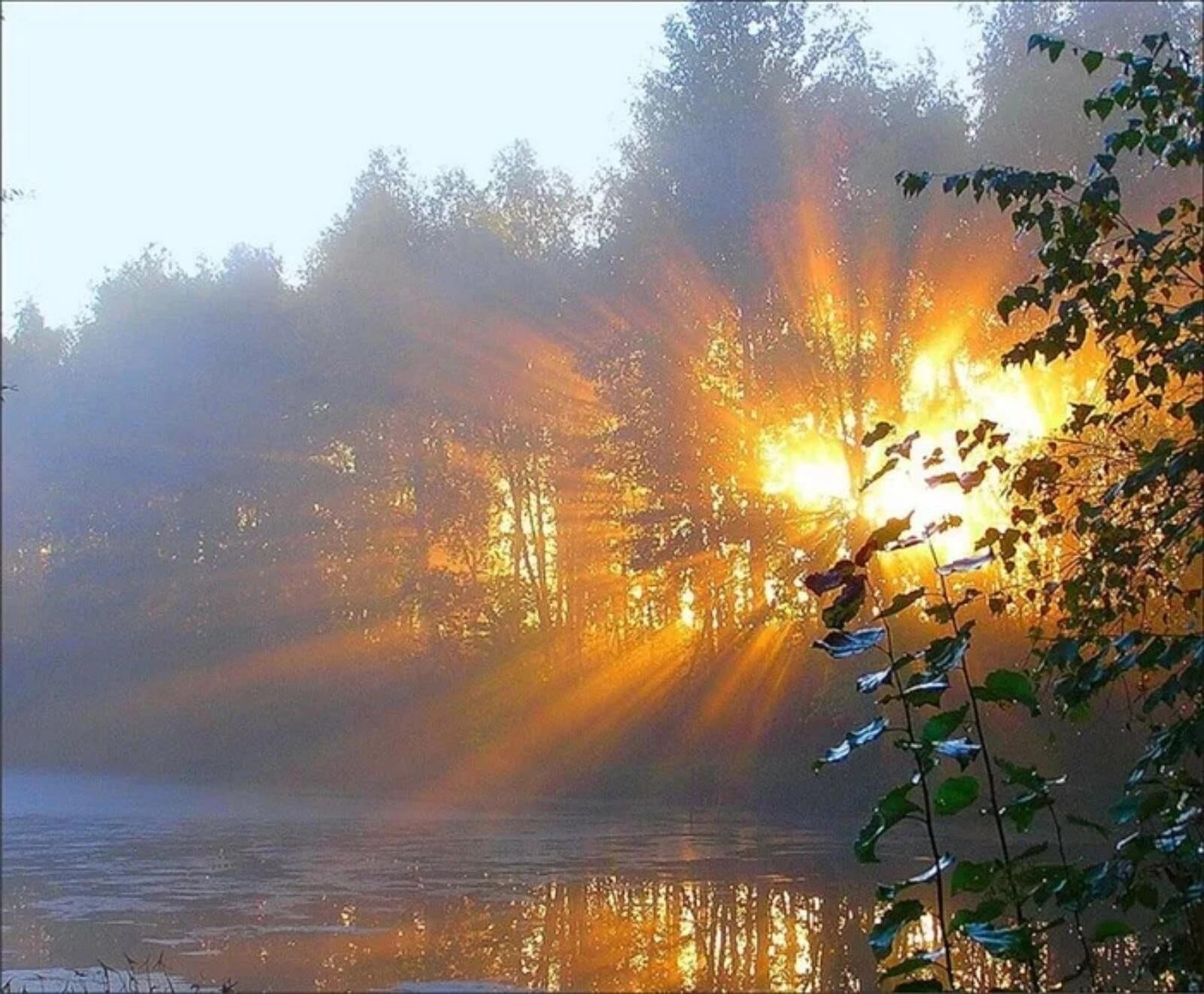 От воды веяло свежестью. Рассвет солнца. Утреннее солнце. Осень солнце. Первые лучи утреннего солнца.
