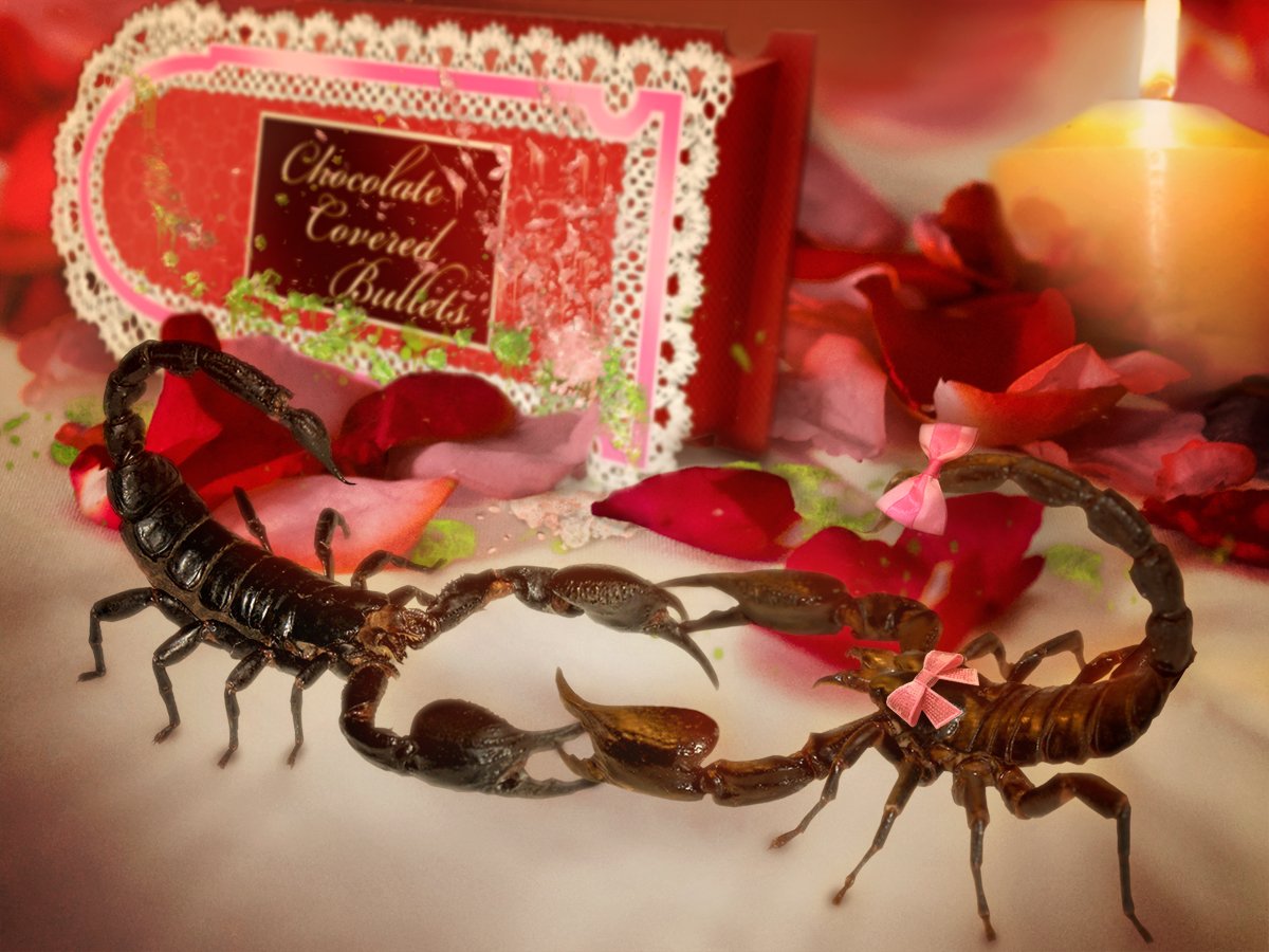 Поздравление с днем рождения женщине скорпиону